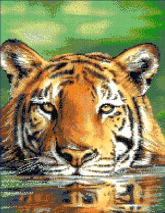 Водяной тигр (JW-030)
