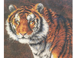 Тигр (Tiger) 03236