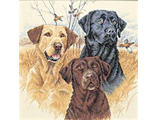 Охотничьи собаки (35096)