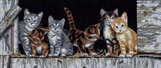 Котята (Barnyard Kitties) 35133