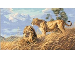 Африканские львы (African Lions) 03866