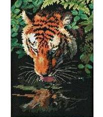 Тигр на водопое (Отражение тигра) 06961