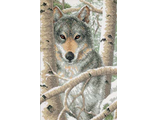 Волк в зимнем лесу 03228
