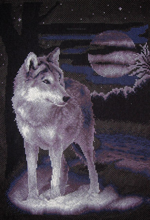 Белый волк (Ж-462)