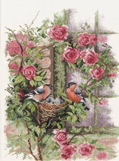 Nesting Birds In Rambler Rose (PN-0008020)