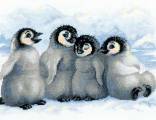 Забавные пингвины (1323)