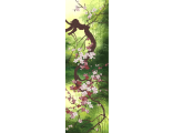 Цветущая сакура НД6054