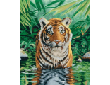 Тигр в воде (BK1151)