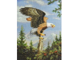 Кричащий орел (45478)