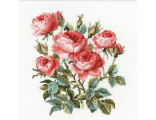 Садовые розы (1046)