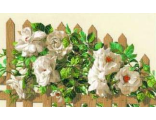 Белые розы (Розы на заборе)