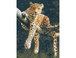 Отдыхающий леопард (99237)