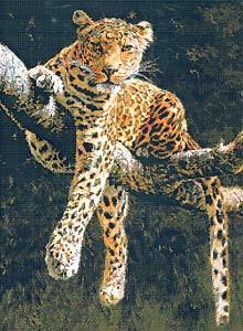 Отдыхающий леопард (99237)