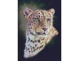 Персидский леопард (98487)