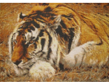 Раджа-сибирский тигр (98077)
