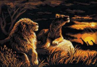 Львы в  (1142)