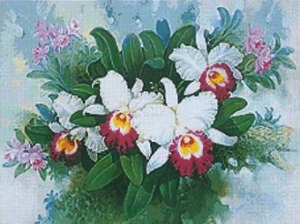 Белые орхидеи СХ-EV-174