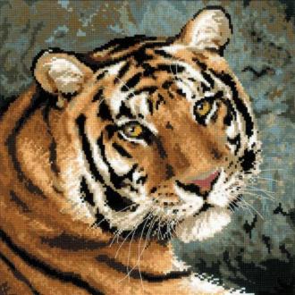 Амурский тигр (1282)