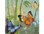 Бабочки (1336)