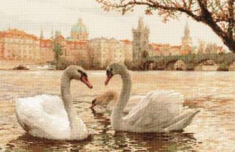 Лебеди. Прага (1364)