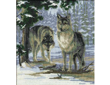Волки (Пара волков) 271