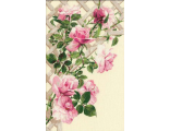 Розовые розы (898) vkn