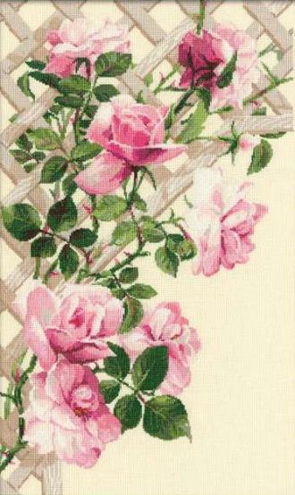 Розовые розы (898)