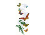 Экзотические бабочки (903)