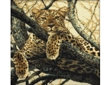 Леопард (937)