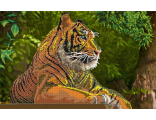 Тигр 53002