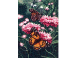 Бабочки (636)