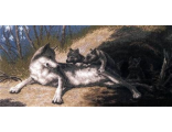 Волки (640)