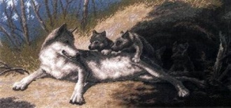 Волки (640)