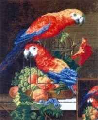 Пара попугаев (675)