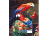Пара попугаев (675)
