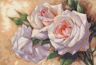 Белые розы 35247