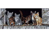 Котята (Barnyard Kitties) 35133