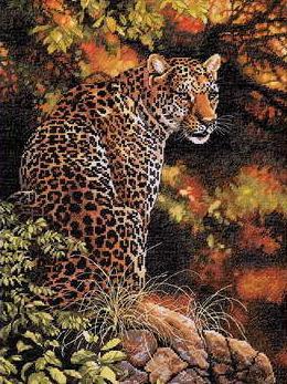 Леопард 35209