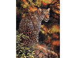 Леопард 35209