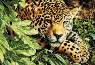 Леопард на отдыхе 70-35300