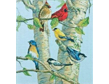 Птички на березе (35252)
