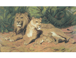 Львиное семейство