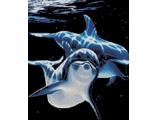 Дельфины 0008