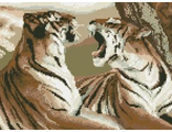 Тигры 0016