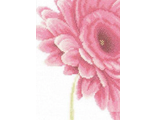 Раскрывающийся розовый цветок pn-0008122