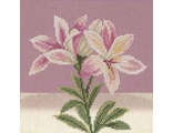 Розово-белая лилия PN-0008150