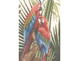 Зеленые попугаи Ара PN-0008276