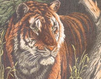 Королевский тигр PN-0008336