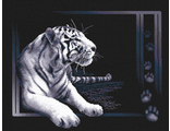 Белый тигр (Ж-0277)