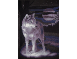 Белый волк (Ж-462)